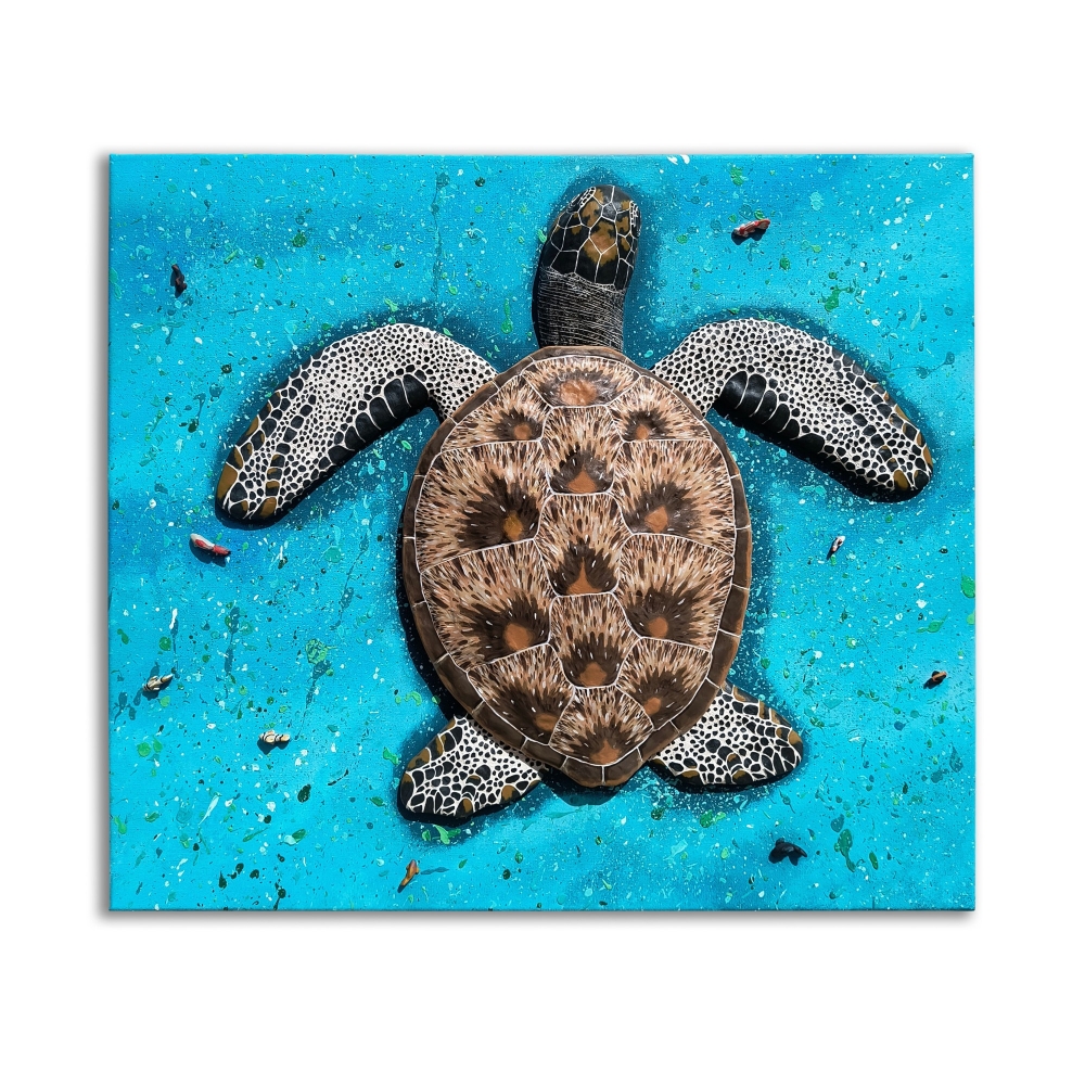 Zeeschildpad